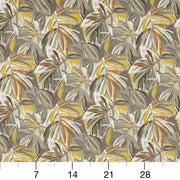 Charlotte - D942 - Captiva - Fabric by the Yard - D942 - D942_Ruler