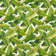 Charlotte - D948 - Palm - Fabric by the Yard Palm
