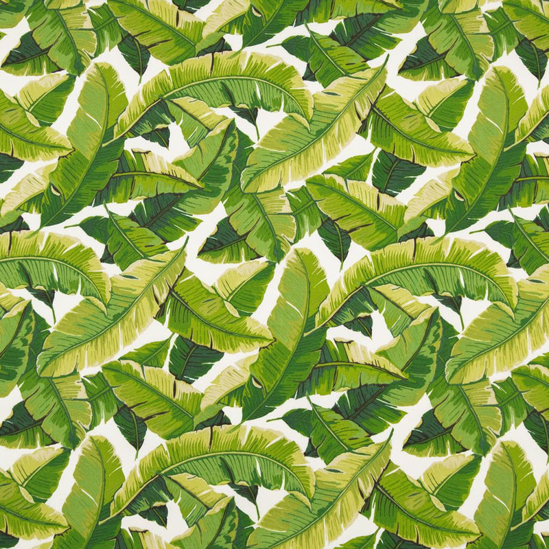 Charlotte - D948 - Palm - Fabric by the Yard Palm