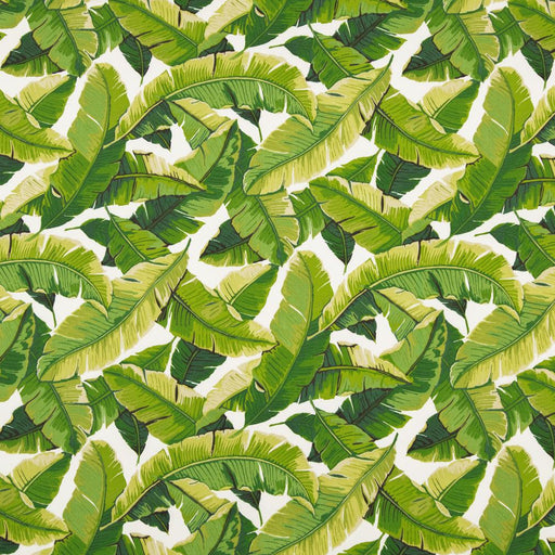 Charlotte - D948 - Palm - Fabric by the Yard Palm