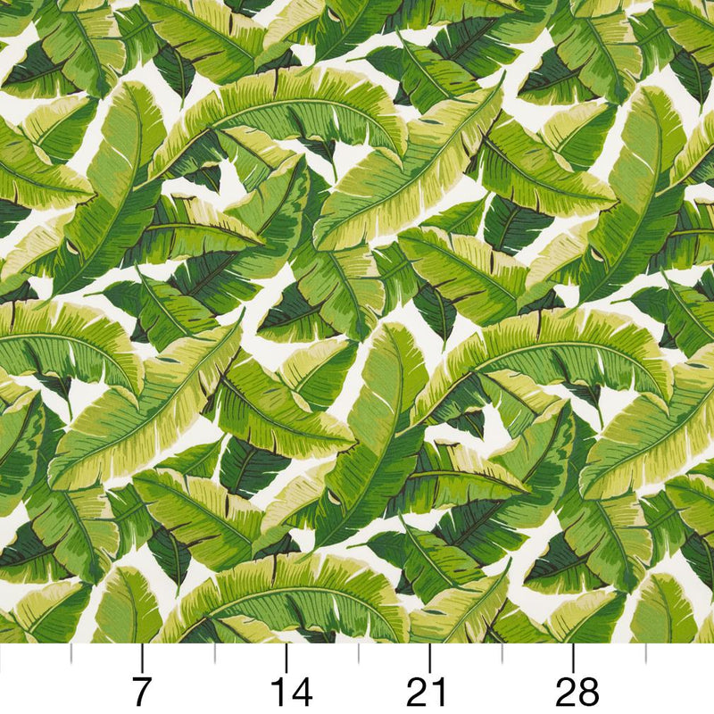 Charlotte - D948 - Palm - Fabric by the Yard - D948 - D948_Ruler