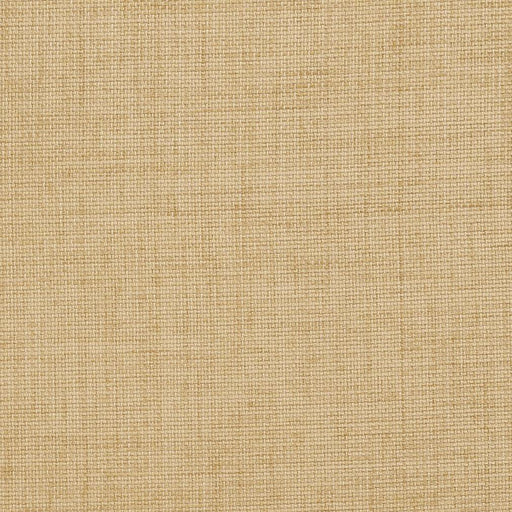 Charlotte - D958 - Birch - Fabric by the Yard Birch
