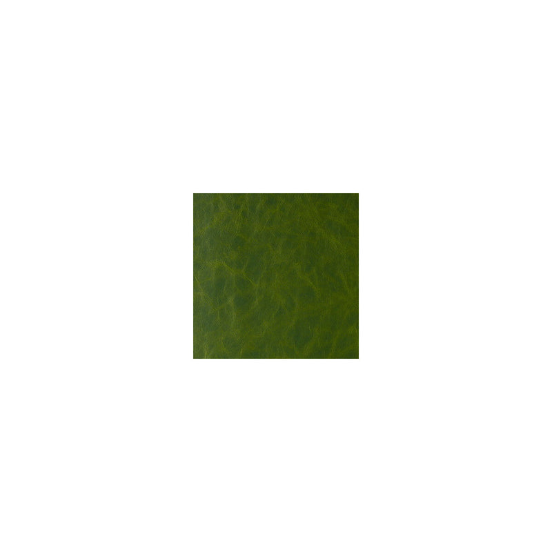 KRAVET CONTRACT - DAYTRIPPER- JUNGLE LOVE - Fabric by the Yard JUNGLE LOVE