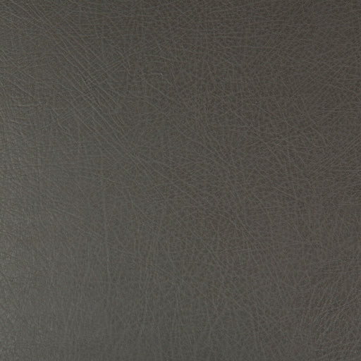 KRAVET DESIGN - KRAVET DESIGN- DEIMOS-21 - Fabric by the Yard DEIMOS-21