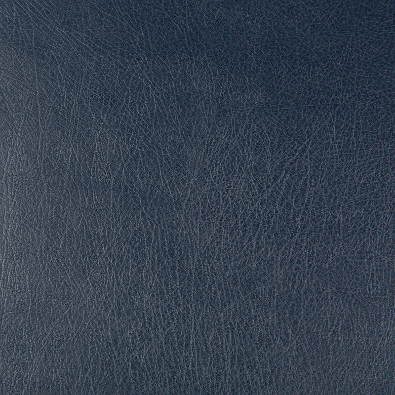 KRAVET DESIGN - KRAVET DESIGN- DEIMOS-50 - Fabric by the Yard DEIMOS-50