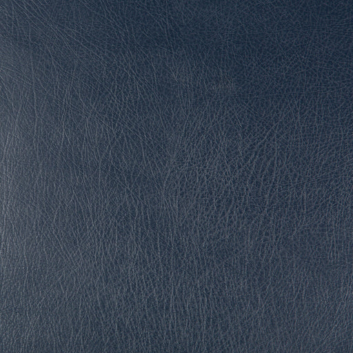 KRAVET DESIGN - KRAVET DESIGN- DEIMOS-50 - Fabric by the Yard DEIMOS-50