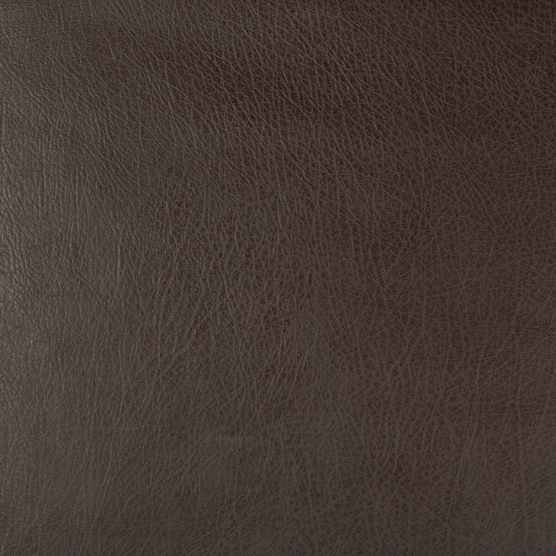 KRAVET DESIGN - KRAVET DESIGN- DEIMOS-66 - Fabric by the Yard DEIMOS-66
