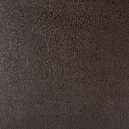 KRAVET DESIGN - KRAVET DESIGN- DEIMOS-66 - Fabric by the Yard DEIMOS-66