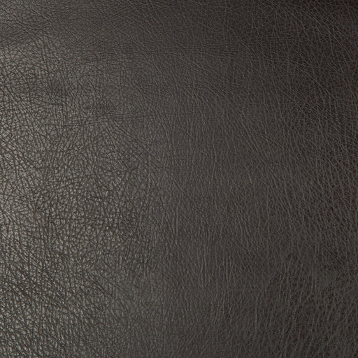 KRAVET DESIGN - KRAVET DESIGN- DEIMOS-68 - Fabric by the Yard DEIMOS-68
