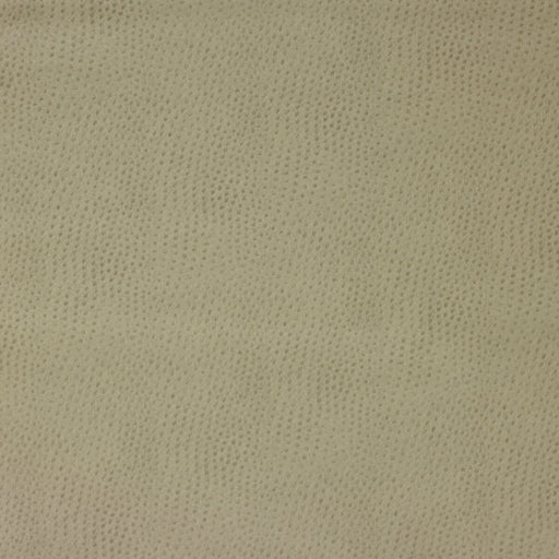 KRAVET DESIGN - KRAVET DESIGN- DELANEY-106 - Fabric by the Yard DELANEY-106