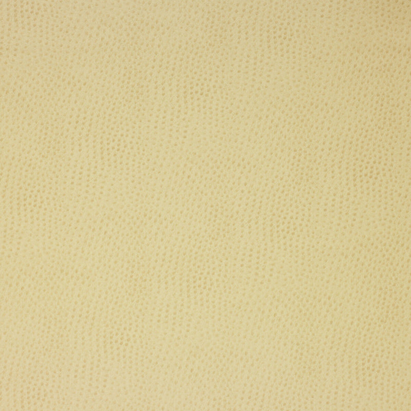 KRAVET DESIGN - KRAVET DESIGN- DELANEY-116 - Fabric by the Yard DELANEY-116