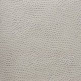 KRAVET DESIGN - KRAVET DESIGN- DELANEY-11 - Fabric by the Yard