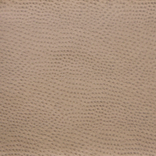 KRAVET DESIGN - KRAVET DESIGN- DELANEY-1616 - Fabric by the Yard DELANEY-1616