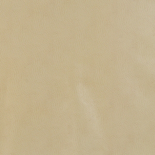 KRAVET DESIGN - KRAVET DESIGN- DELANEY-16 - Fabric by the Yard DELANEY-16