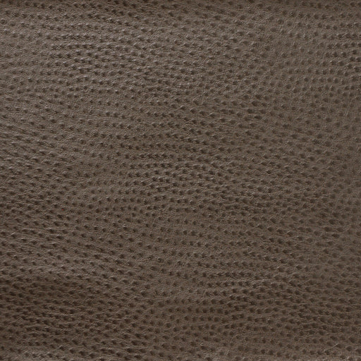 KRAVET DESIGN - KRAVET DESIGN- DELANEY-2121 - Fabric by the Yard DELANEY-2121