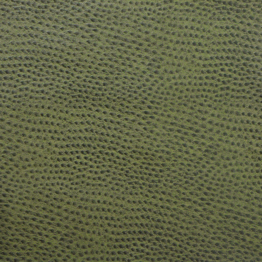 KRAVET DESIGN - KRAVET DESIGN- DELANEY-3 - Fabric by the Yard DELANEY-3