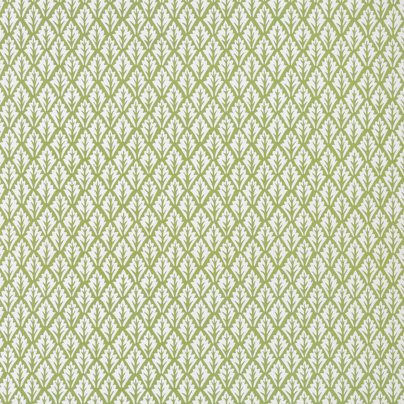 KRAVET BASICS - DORSO- OLIVE - Fabric by the Yard OLIVE
