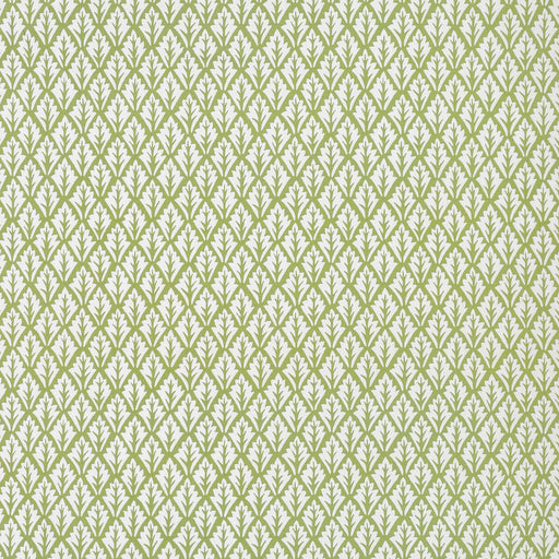 KRAVET BASICS - DORSO- OLIVE - Fabric by the Yard OLIVE