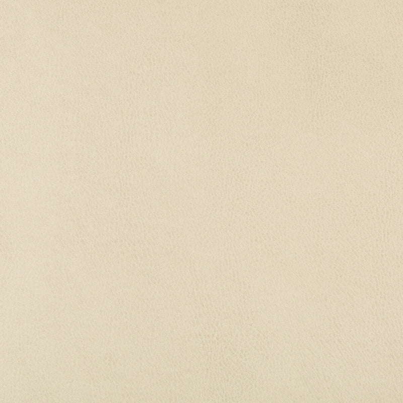 KRAVET DESIGN - KRAVET DESIGN- DUST-116 - Fabric by the Yard DUST-116