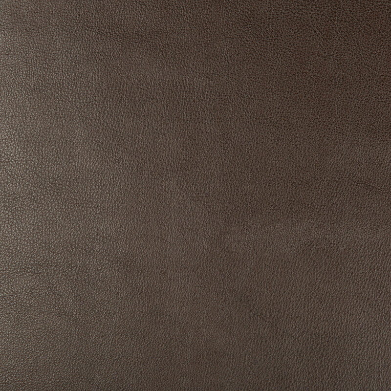 KRAVET DESIGN - KRAVET DESIGN- DUST-66 - Fabric by the Yard DUST-66