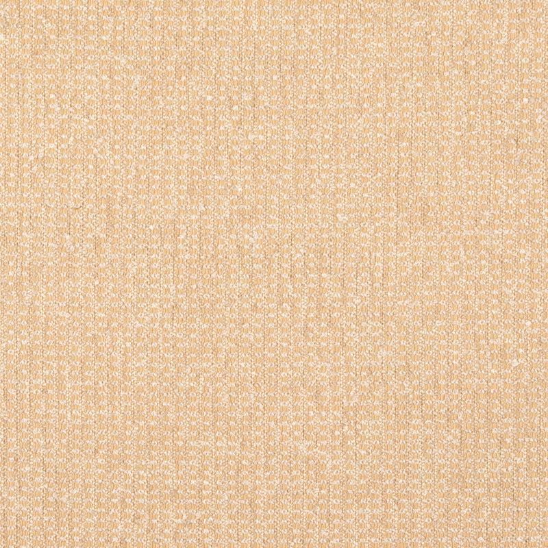 Dawson - Champagne - 29 Park - Fabric by the Yard