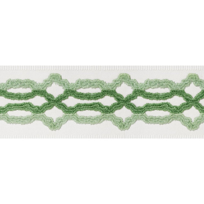 Thibaut - Hartney Tape - Trim By The Yard - Samples Available by Request - F13-000026