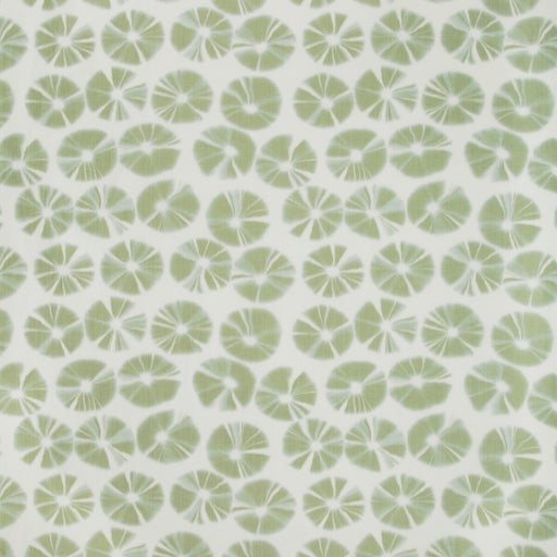 KRAVET COUTURE - ECHINO - Fabric By the Yard