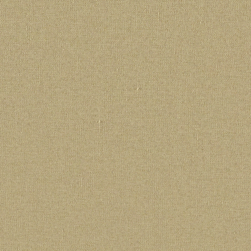 ECLIPSE OLIVE
