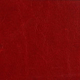 THREADS - CRAWFORD- BERRY - Fabric by the SQUARE FOOT