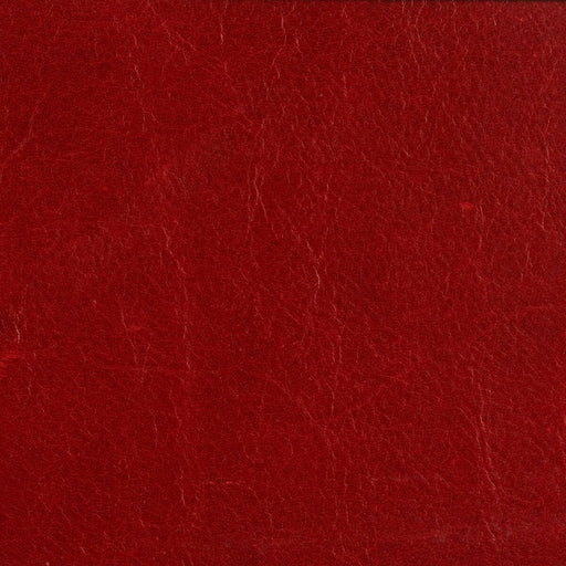 THREADS - CRAWFORD- BERRY - Fabric by the SQUARE FOOT BERRY