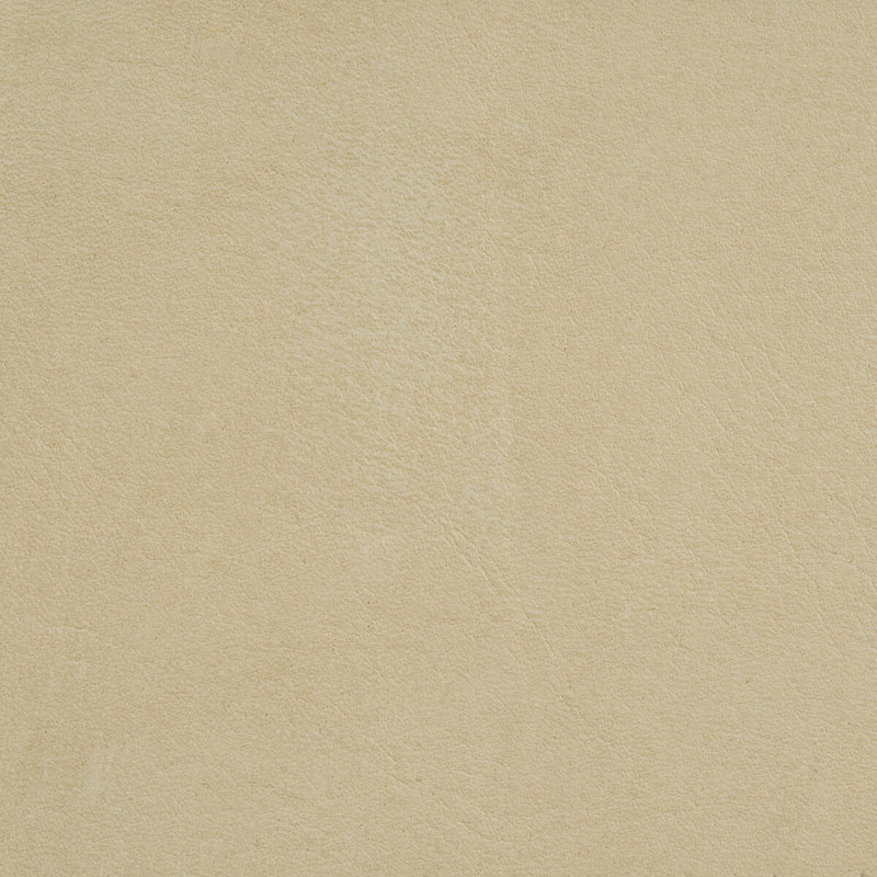 THREADS - CRAWFORD- FROST - Fabric by the SQUARE FOOT FROST