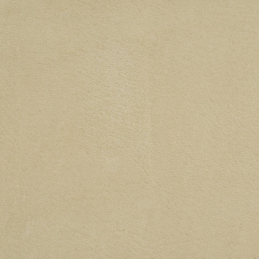 THREADS - CRAWFORD- FROST - Fabric by the SQUARE FOOT FROST