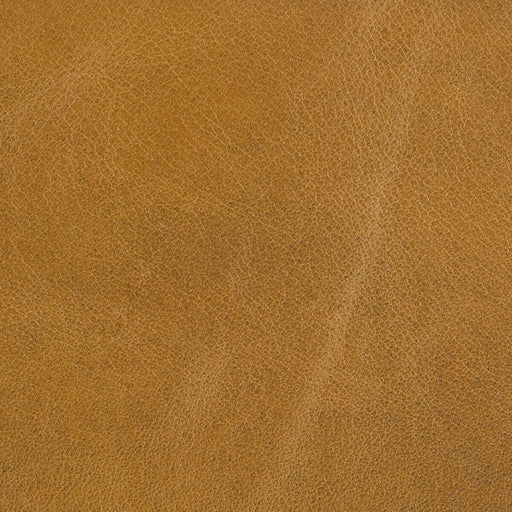 THREADS - PICKFORD- GOLD - Fabric by the SQUARE FOOT GOLD