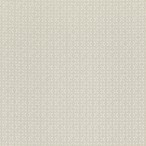 THREADS - ASLIN- IVORY - Fabric by the Yard IVORY