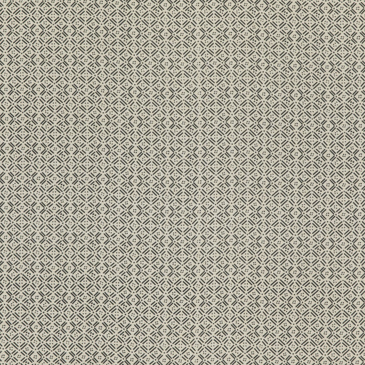 THREADS - ASLIN- CHARCOAL - Fabric by the Yard CHARCOAL
