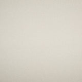THREADS - VARAS- IVORY - Fabric by the Yard