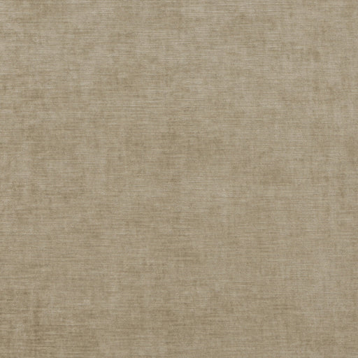THREADS - MERIDIAN VELVET- OATMEAL - Fabric by the Yard OATMEAL