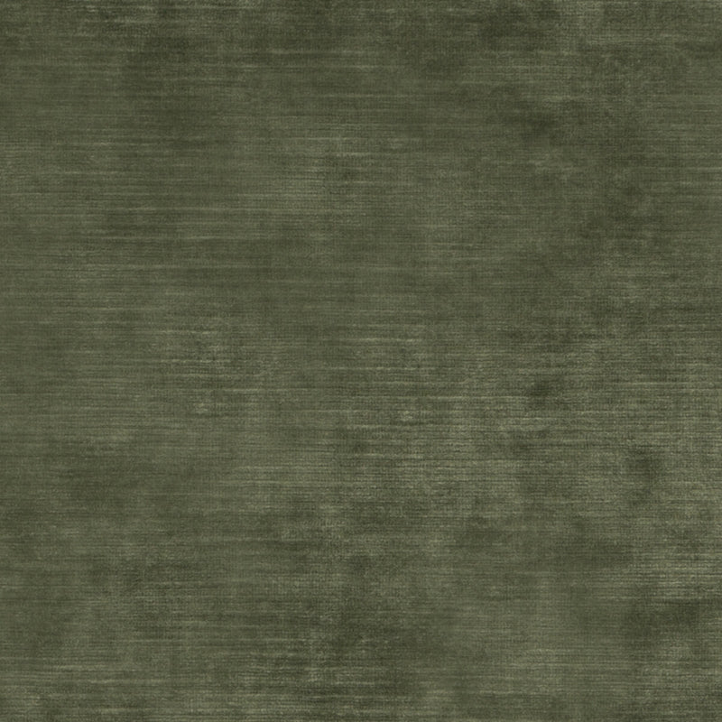 THREADS - MERIDIAN VELVET- FERN - Fabric by the Yard FERN