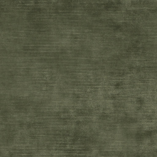 THREADS - MERIDIAN VELVET- FERN - Fabric by the Yard FERN