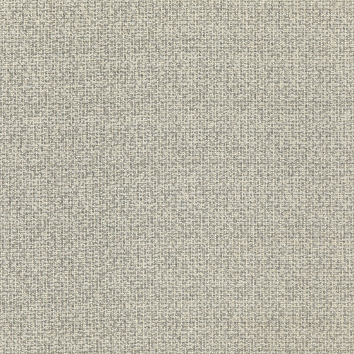 THREADS - CALA- PARCHMENT - Fabric by the Yard PARCHMENT