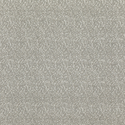 THREADS - CALA- SOFT GREY - Fabric by the Yard SOFT GREY