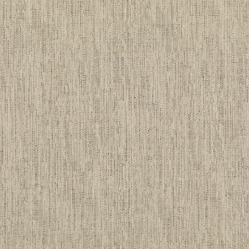 THREADS - STIPPLE- CHARCOAL - Fabric by the Yard CHARCOAL