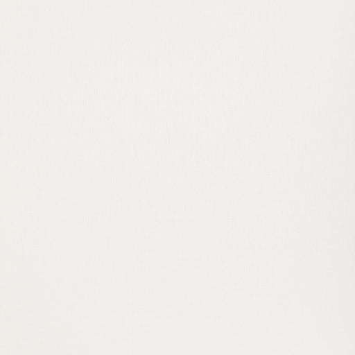 THREADS - TULUM LINEN- IVORY - Fabric by the Yard IVORY