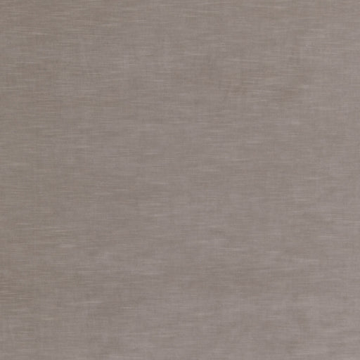THREADS - QUINTESSENTIAL VELVET- ASH - Fabric by the Yard ASH