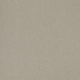 THREADS - PUMICE- PARCHMENT - Fabric by the Yard