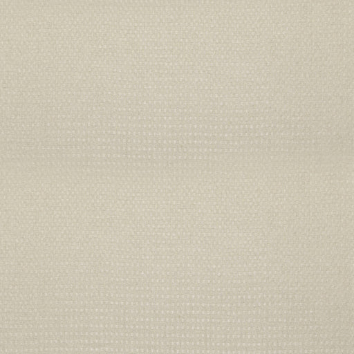 THREADS - SKELLIG- PARCHMENT - Fabric by the Yard PARCHMENT