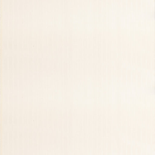 THREADS - FLURRY- IVORY - Fabric by the Yard IVORY
