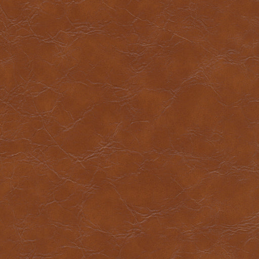 KRAVET DESIGN - KRAVET DESIGN- EQUINE-606 - Fabric by the Yard EQUINE-606