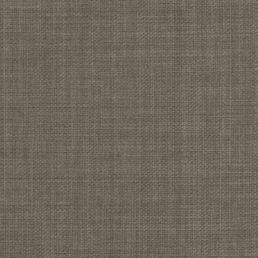 CLARKE AND CLARKE - F0453/61 - LINOSO - Fabric By the Yard