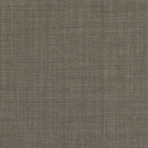 CLARKE AND CLARKE - LINOSO- TAUPE - Fabric by the Yard TAUPE